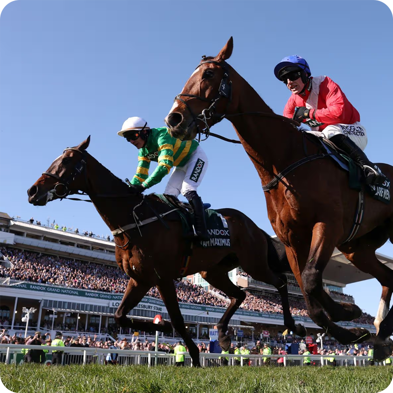 horse-racing-rounded-1